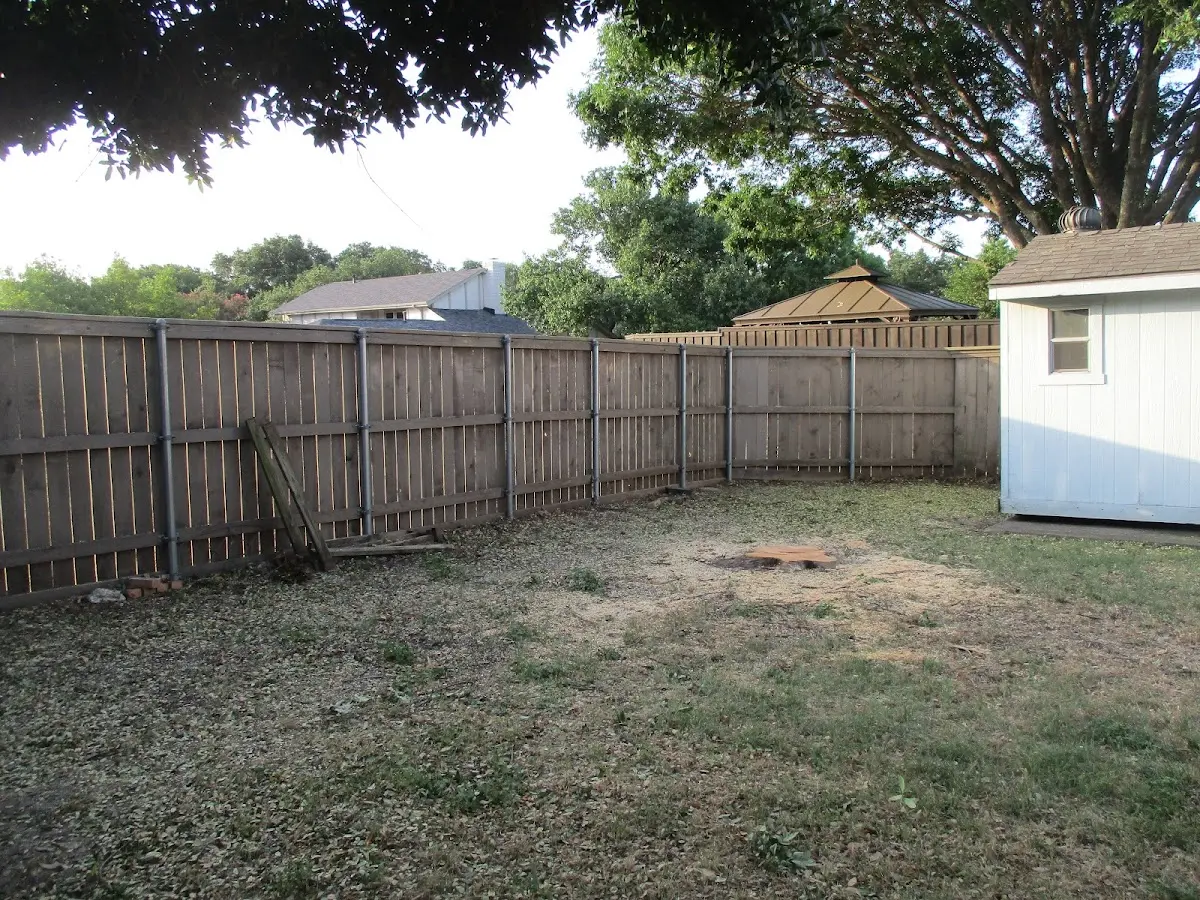 Cleared yard after professional tree removal in Wilder